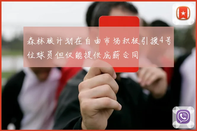 森林狼计划在自由市场积极引援4号位球员但仅能提供底薪合同