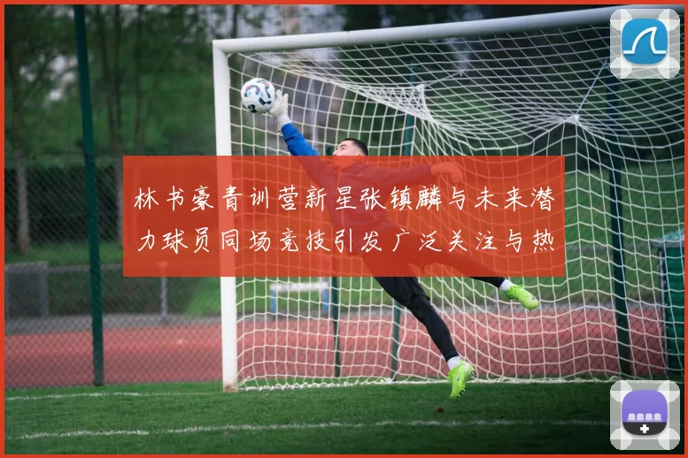 林书豪青训营新星张镇麟与未来潜力球员同场竞技引发广泛关注与热议